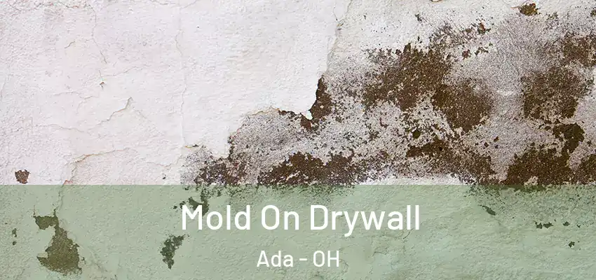 Mold On Drywall Ada - OH