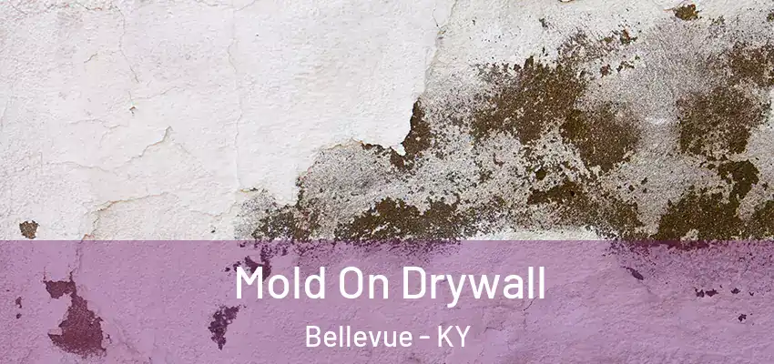 Mold On Drywall Bellevue - KY