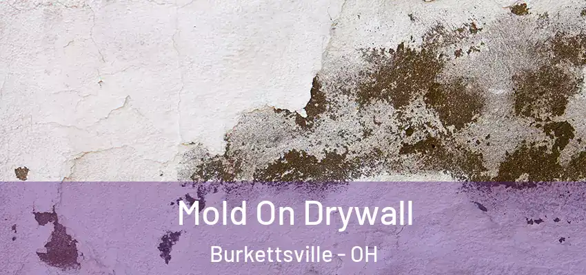  Mold On Drywall Burkettsville - OH
