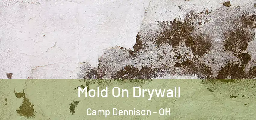 Mold On Drywall Camp Dennison - OH