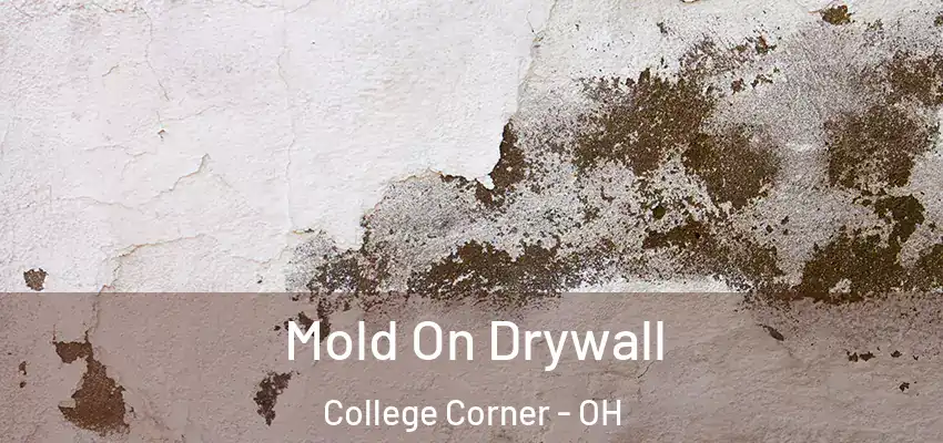  Mold On Drywall College Corner - OH