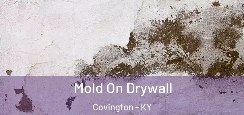 Mold On Drywall Covington - KY