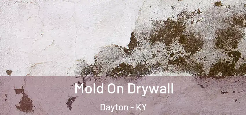 Mold On Drywall Dayton - KY