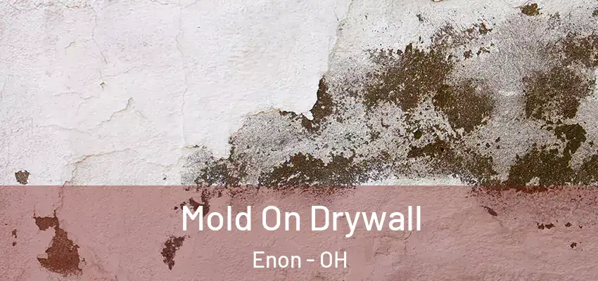  Mold On Drywall Enon - OH