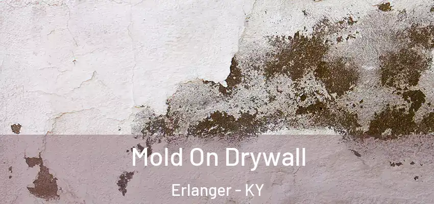 Mold On Drywall Erlanger - KY