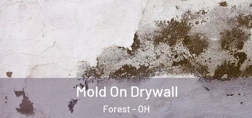 Mold On Drywall Forest - OH