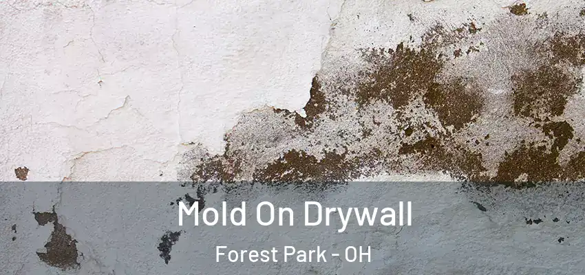 Mold On Drywall Forest Park - OH