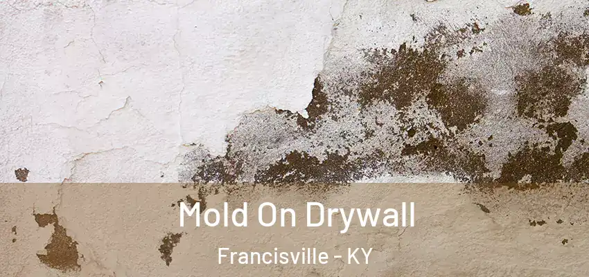  Mold On Drywall Francisville - KY