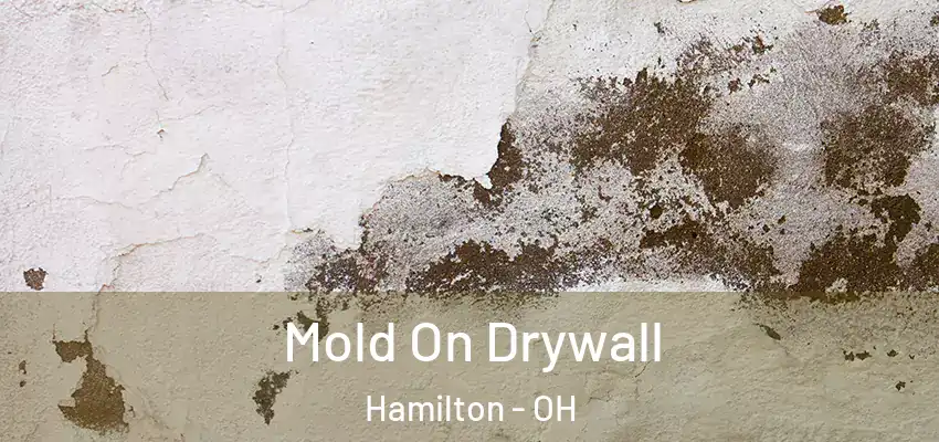  Mold On Drywall Hamilton - OH