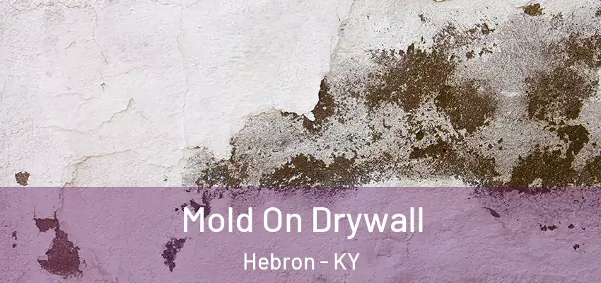 Mold On Drywall Hebron - KY