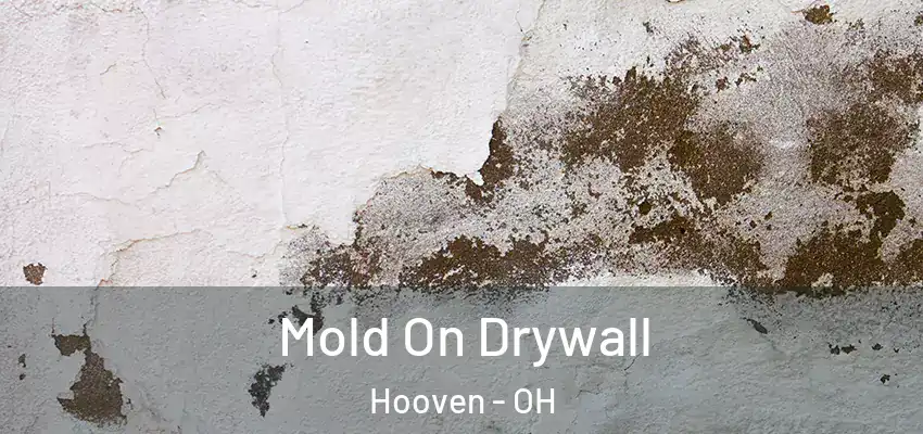  Mold On Drywall Hooven - OH