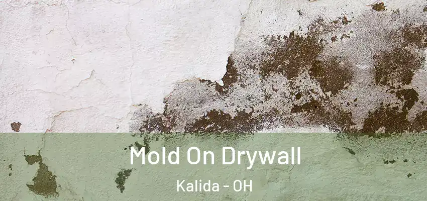  Mold On Drywall Kalida - OH