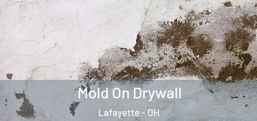 Mold On Drywall Lafayette - OH