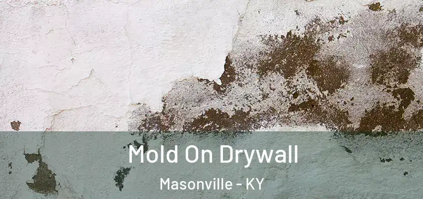 Mold On Drywall Masonville - KY