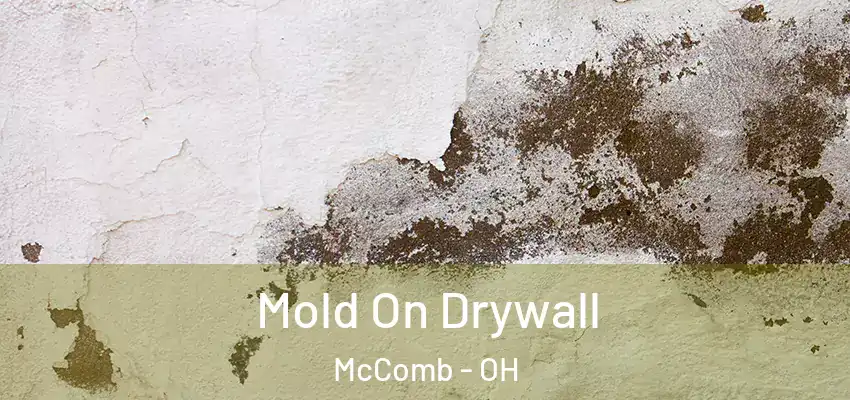 Mold On Drywall McComb - OH