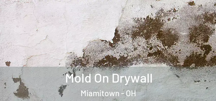 Mold On Drywall Miamitown - OH