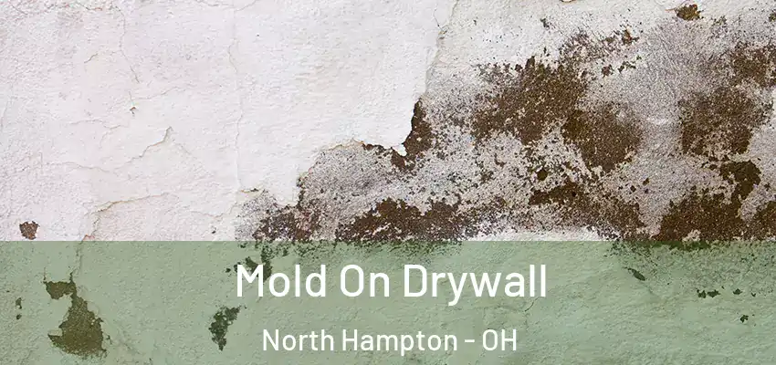 Mold On Drywall North Hampton - OH