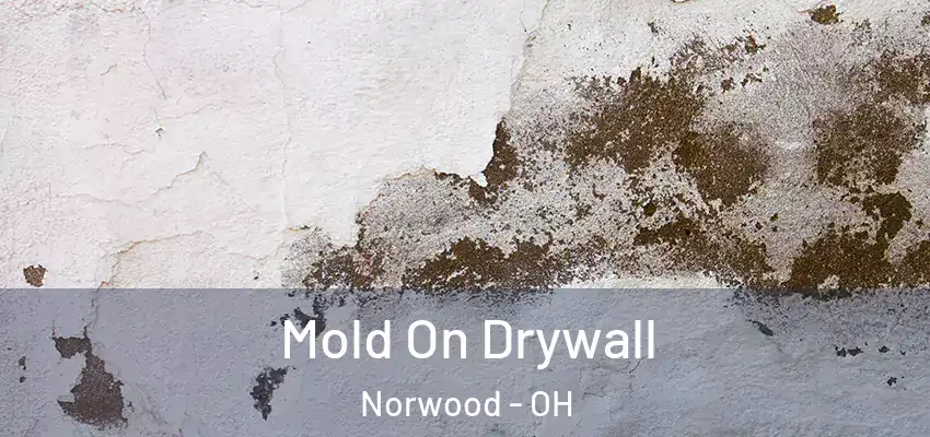Mold On Drywall Norwood - OH