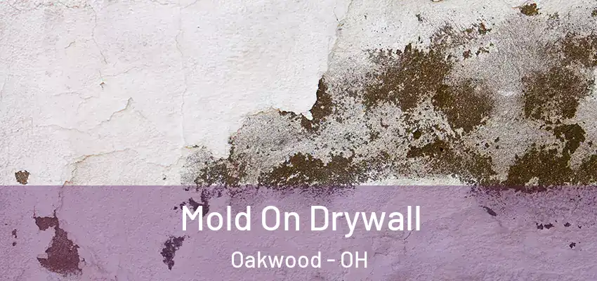 Mold On Drywall Oakwood - OH