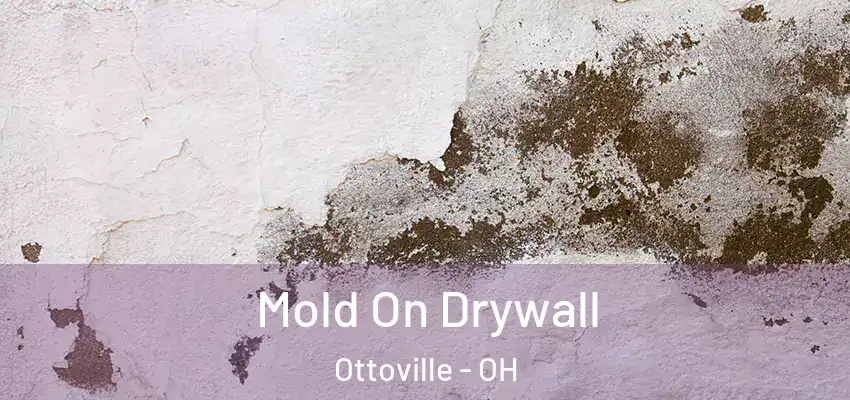 Mold On Drywall Ottoville - OH