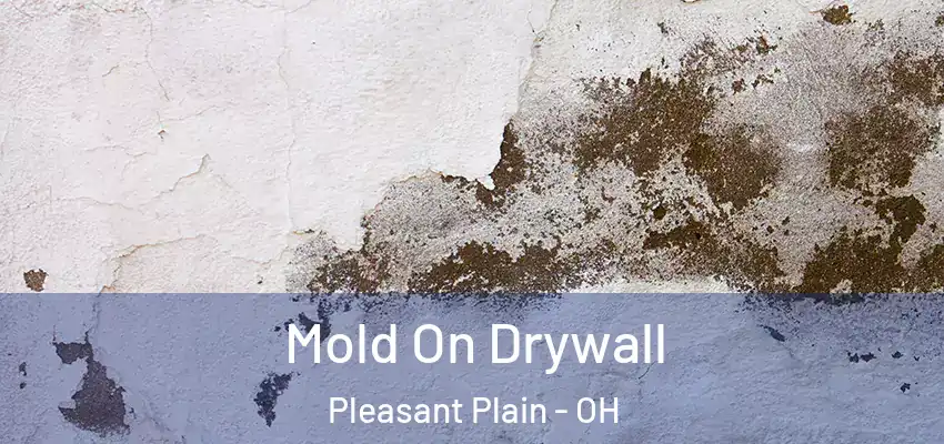  Mold On Drywall Pleasant Plain - OH