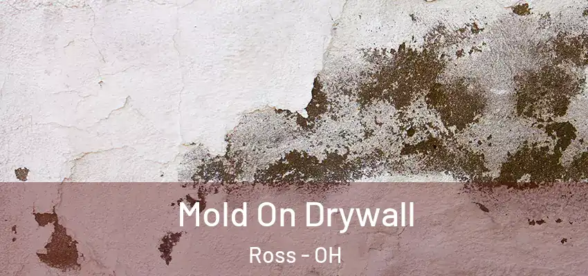  Mold On Drywall Ross - OH