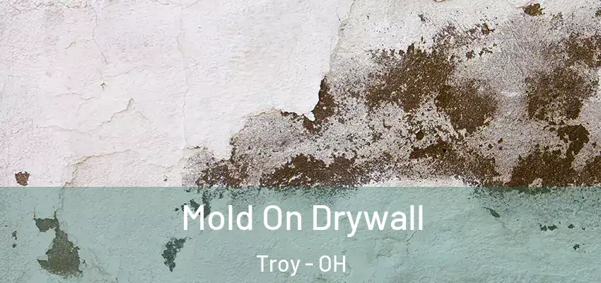  Mold On Drywall Troy - OH