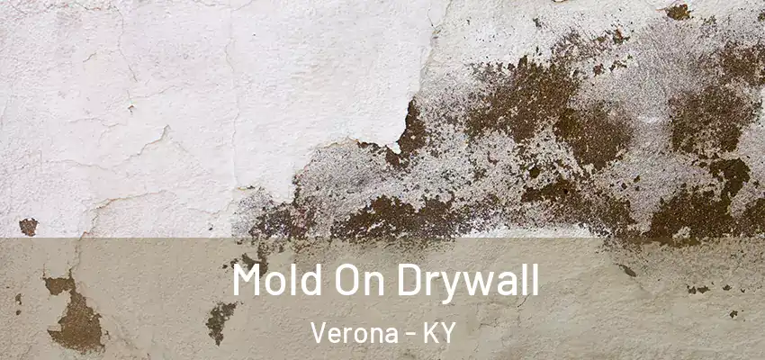  Mold On Drywall Verona - KY