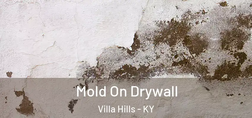  Mold On Drywall Villa Hills - KY