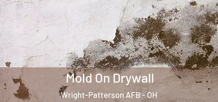 Mold On Drywall Wright-Patterson AFB - OH