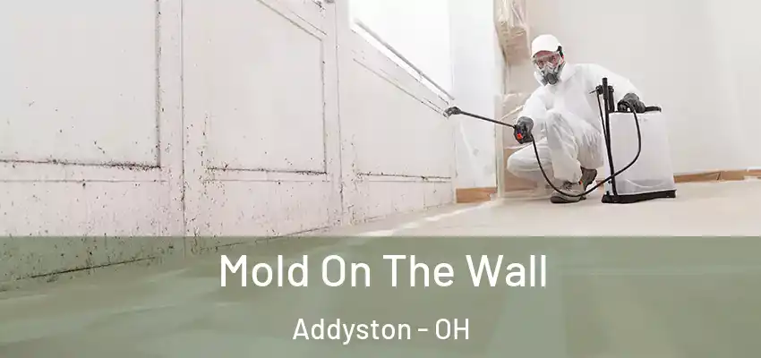 Mold On The Wall Addyston - OH