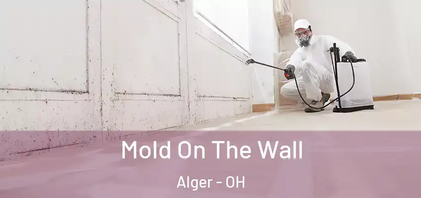 Mold On The Wall Alger - OH