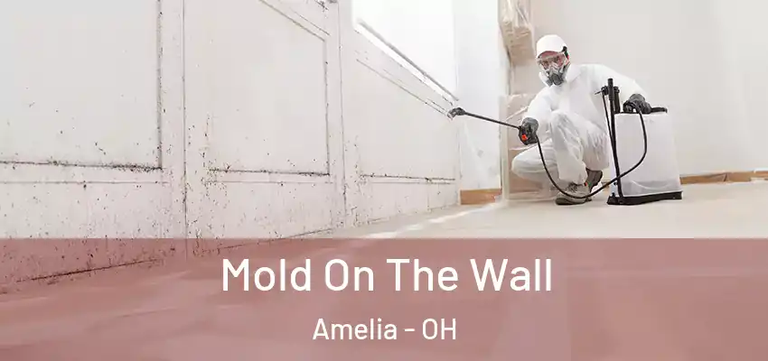 Mold On The Wall Amelia - OH