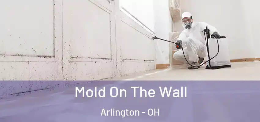 Mold On The Wall Arlington - OH