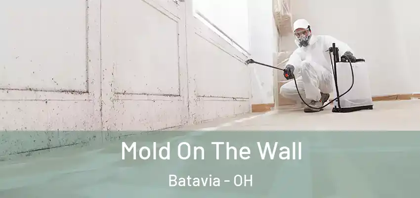  Mold On The Wall Batavia - OH