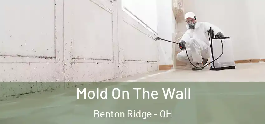Mold On The Wall Benton Ridge - OH