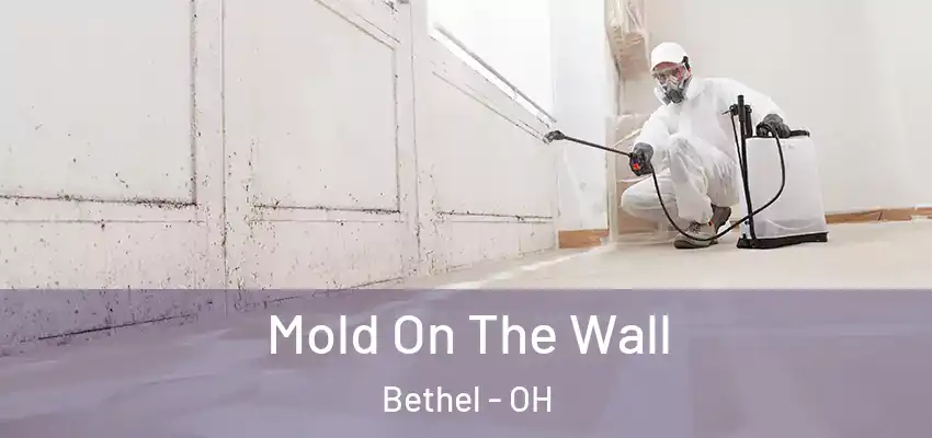  Mold On The Wall Bethel - OH
