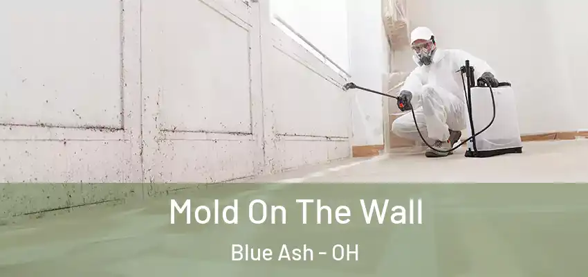 Mold On The Wall Blue Ash - OH