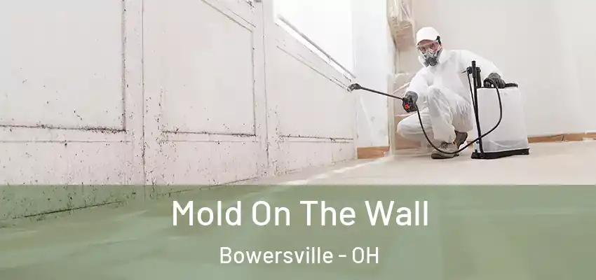  Mold On The Wall Bowersville - OH
