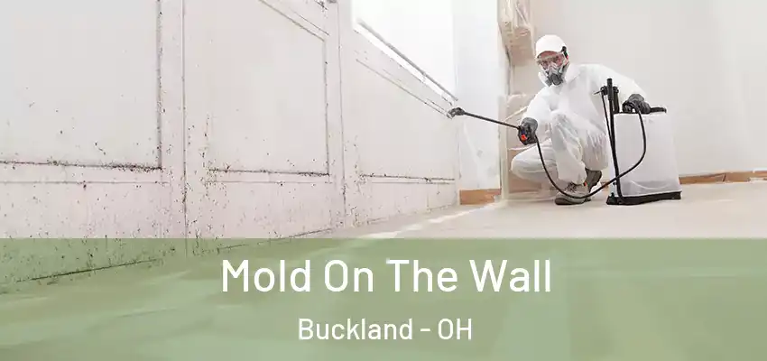 Mold On The Wall Buckland - OH