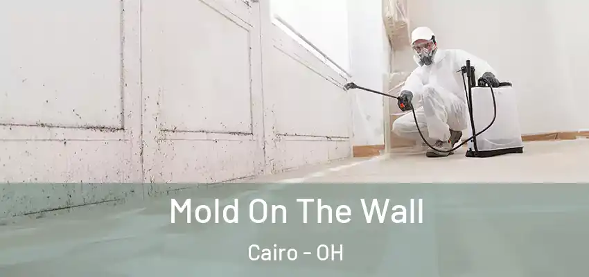 Mold On The Wall Cairo - OH