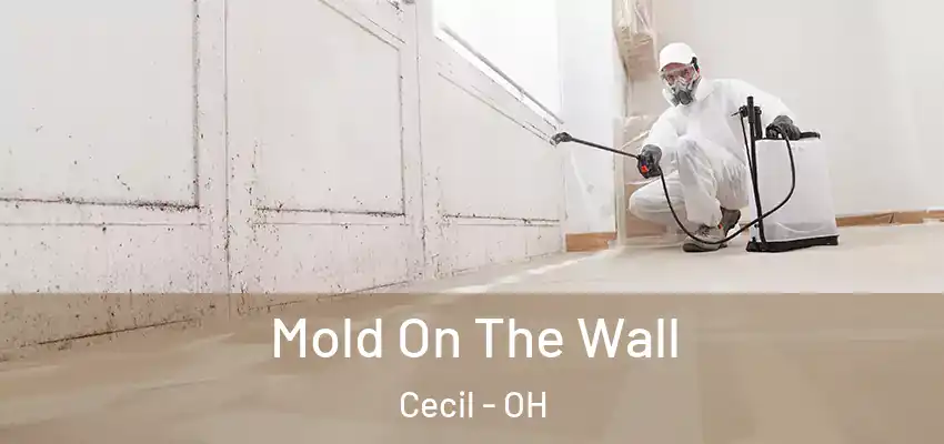  Mold On The Wall Cecil - OH