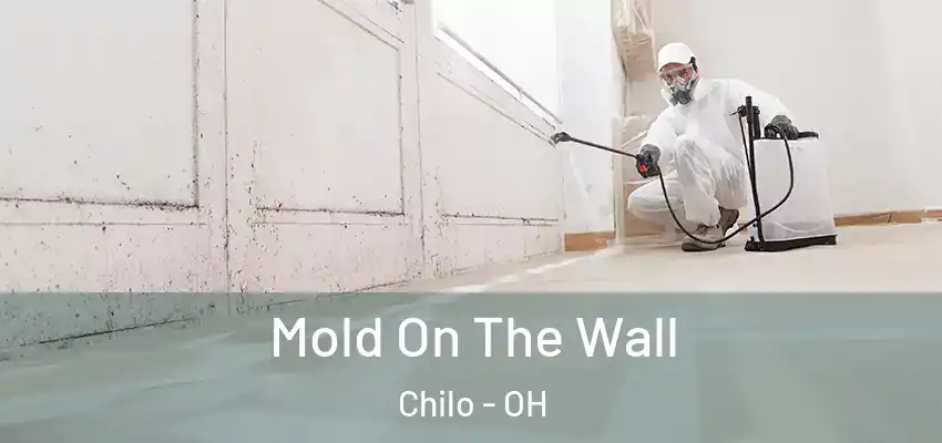Mold On The Wall Chilo - OH