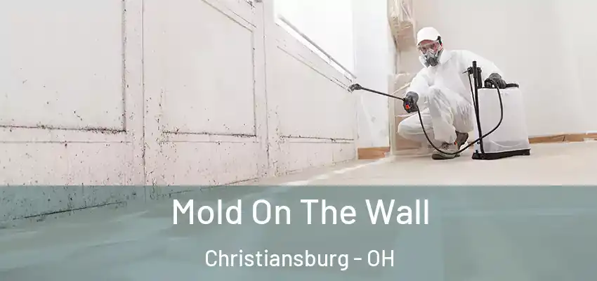  Mold On The Wall Christiansburg - OH
