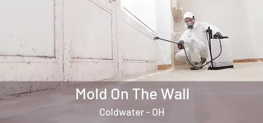 Mold On The Wall Coldwater - OH