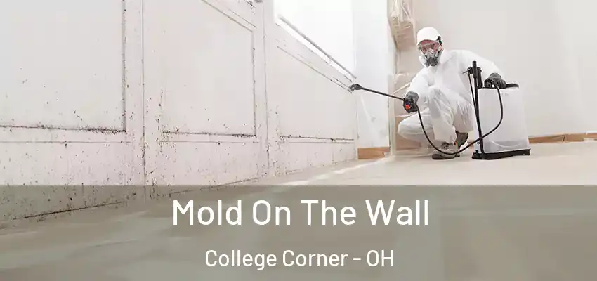 Mold On The Wall College Corner - OH