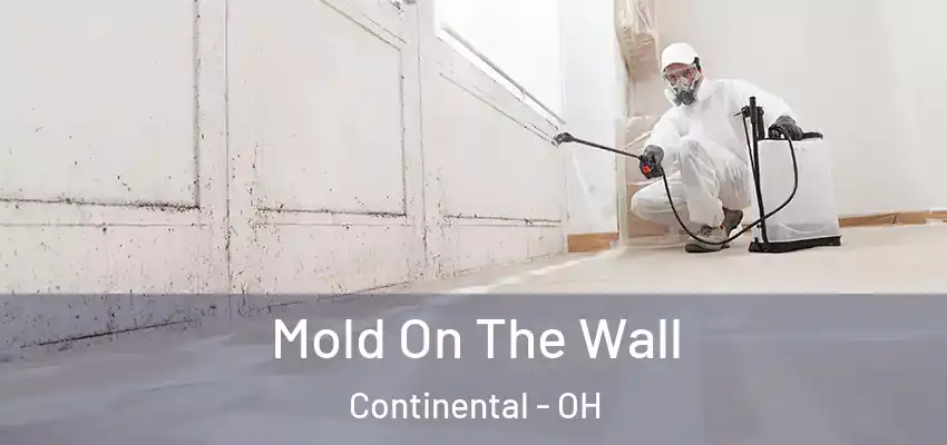  Mold On The Wall Continental - OH