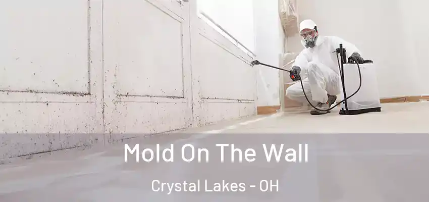 Mold On The Wall Crystal Lakes - OH