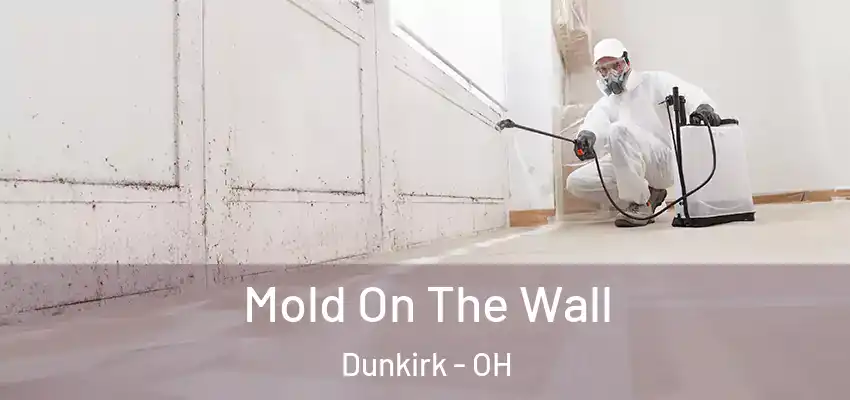 Mold On The Wall Dunkirk - OH