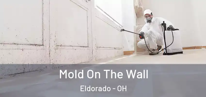 Mold On The Wall Eldorado - OH